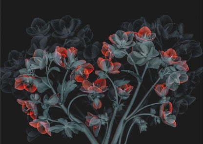 Wall art Beautiful Hellebores