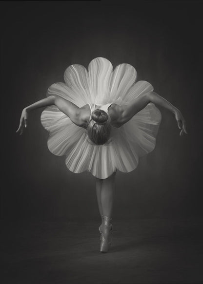  Floral Ballet Wall Artwork In Black Floating Frame