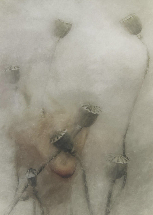 hopeful future Wall Artwork In Black Floating Frame