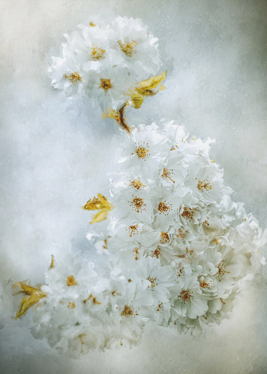 Cherry blossoms Wall Artwork In Black Floating Frame