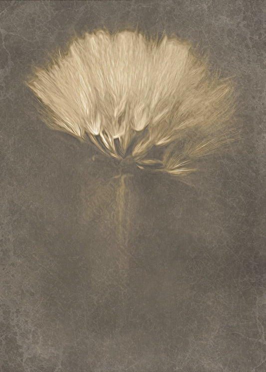 Mysterious Days Wall Artwork In Black Floating Frame