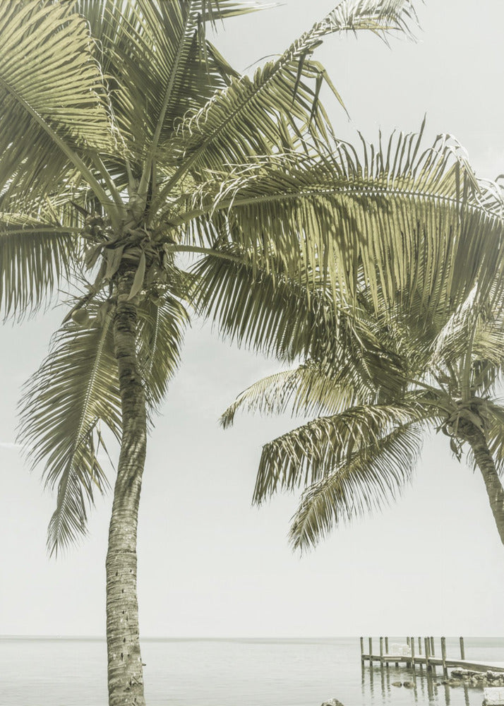  FLORIDA Heavenly Place | Vintage Wall Artwork In Black Floating Frame