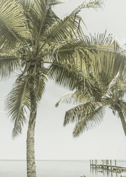  FLORIDA Heavenly Place | Vintage Wall Artwork In Black Floating Frame