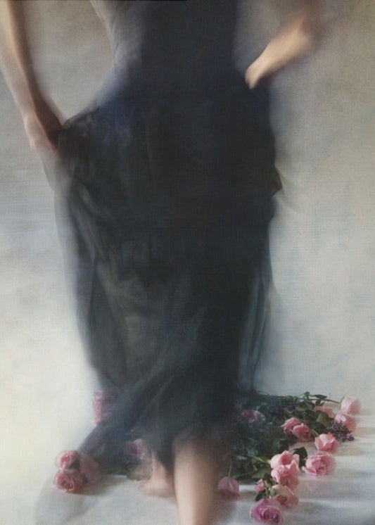 Four Dozen Roses ll Wall Artwork In Black Floating Frame