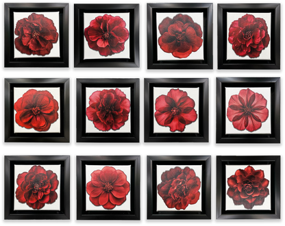 Set of 12 Mini Framed Fine Art Canvases