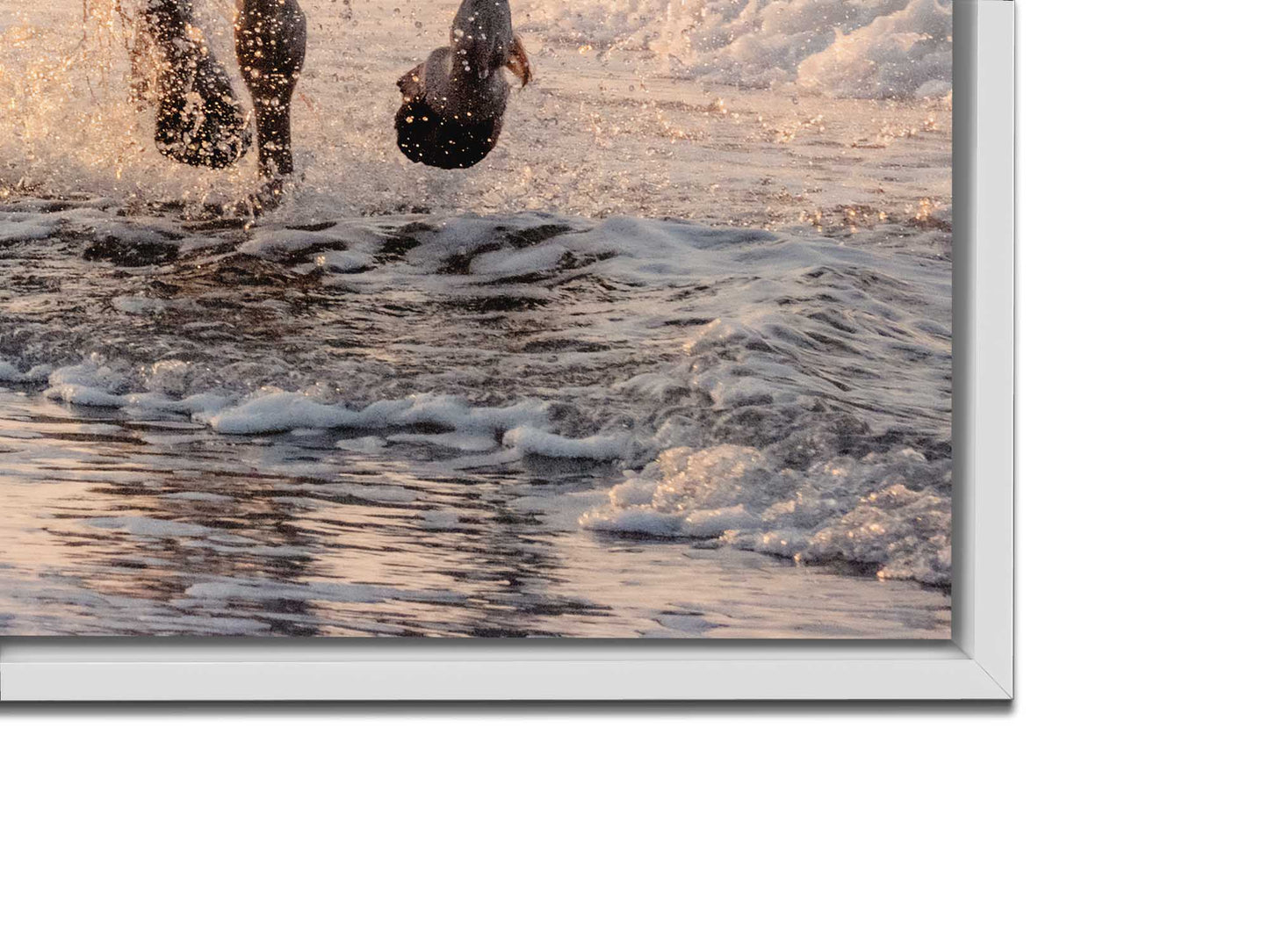 Beautiful Galloping Horses Print- Animal Print Canvas-Fine Art Canvas- Gold varnish