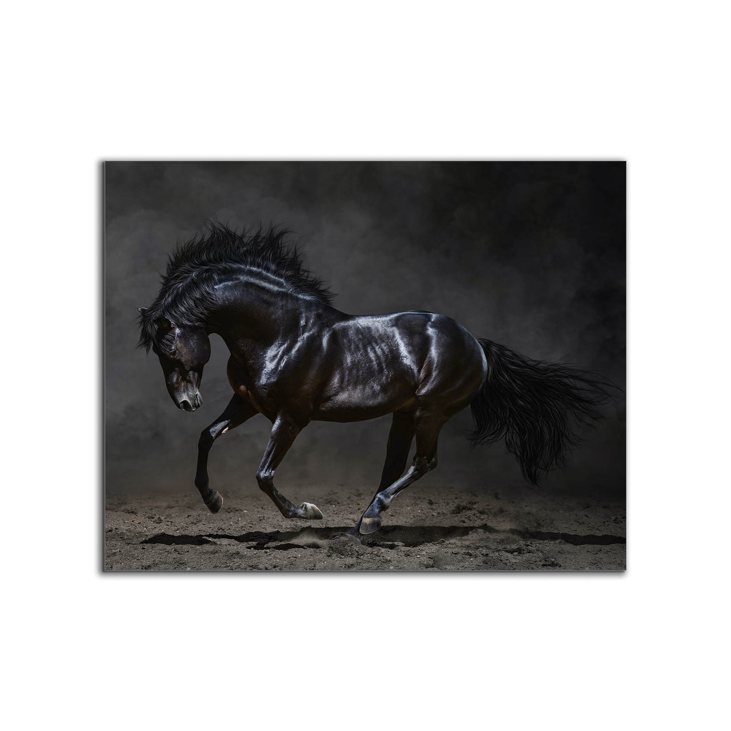 Black Majestic Horse - Wildlife Canvas Art - Diamond varnish