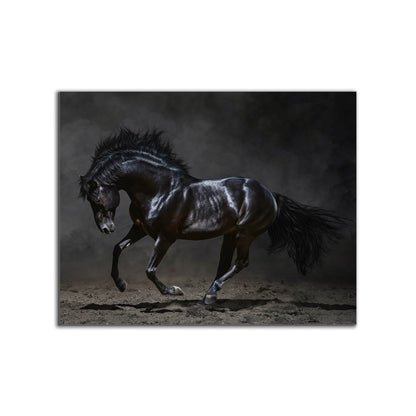 Black Majestic Horse - Wildlife Canvas Art - Diamond varnish