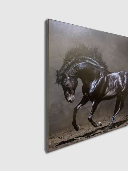 Black Majestic Horse - Wildlife Canvas Art - Diamond varnish