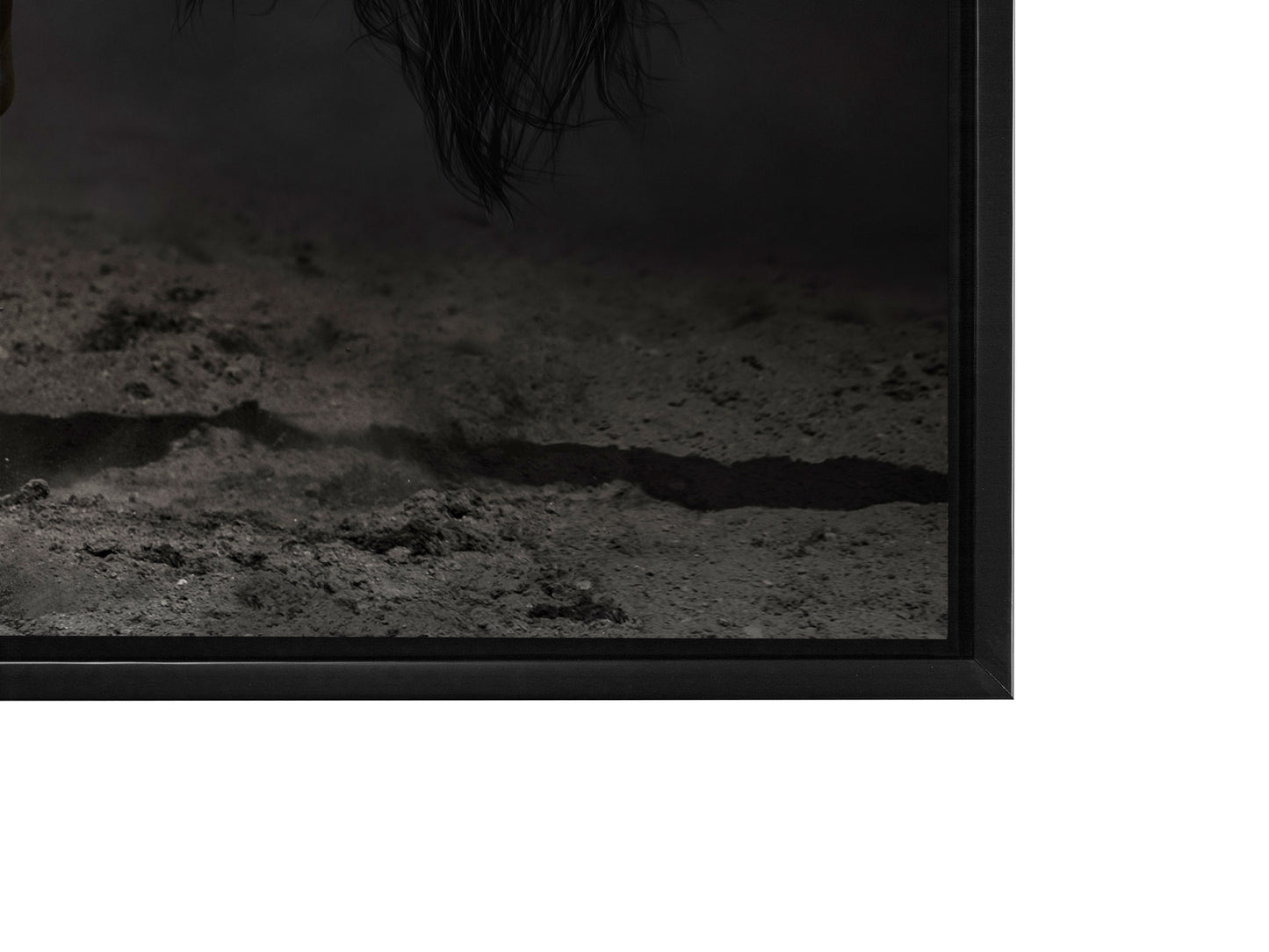 Black Majestic Horse - Wildlife Canvas Art - Diamond varnish
