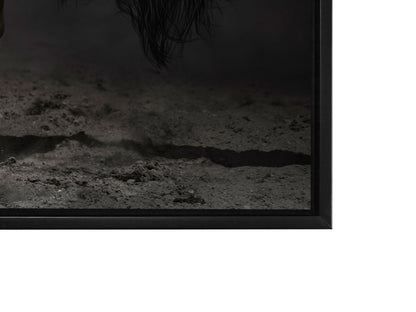 Black Majestic Horse - Wildlife Canvas Art - Diamond varnish